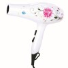 廠家批發(fā)時尚家用大功率水轉(zhuǎn)印電吹風