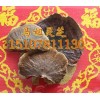 海南野生蜂窩靈芝|廣西壯族自治區(qū)地區(qū)的最好的野生蜂窩靈芝供貨商