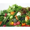 采購高性價(jià)綠色蔬菜就找神喻王，供應(yīng)綠色蔬菜