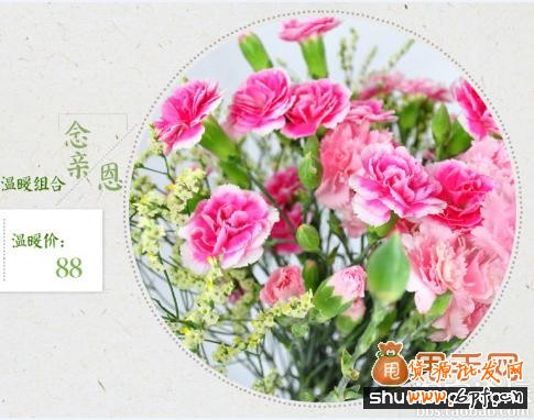 母親節(jié)促銷流量破萬不是夢(mèng),只需做好如下幾點(diǎn)