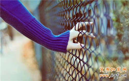 淘寶新手店鋪裝修教程-店招的尺寸和設(shè)置方法1