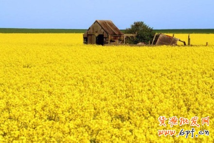 超精細(xì)操作的寶貝上下架時(shí)間安排1