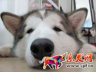 關(guān)于淘寶開(kāi)店評(píng)價(jià)那些事