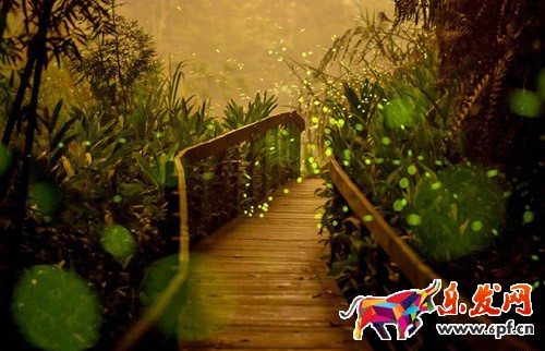 淘寶小賣(mài)家