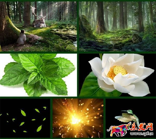 ps海報設計 淘寶海報