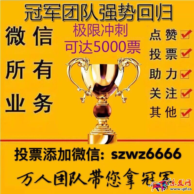 網絡刷票會被發現嗎