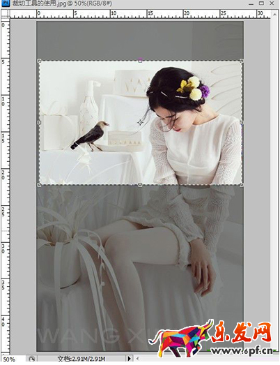 ps切片工具怎么用