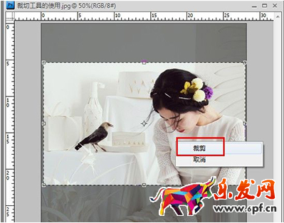 ps切片工具怎么用