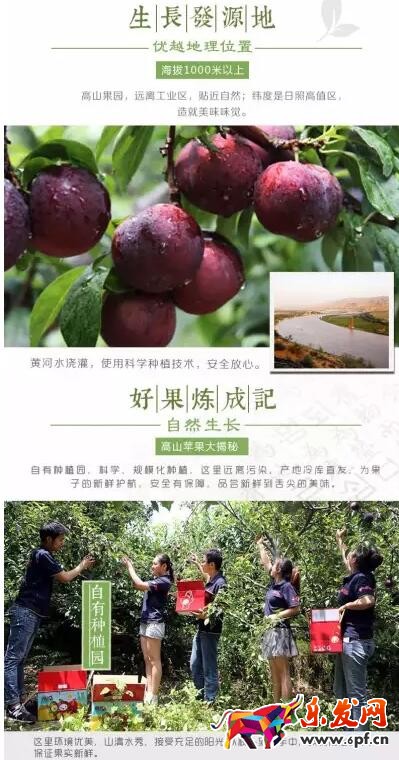 淘寶寶貝詳情頁