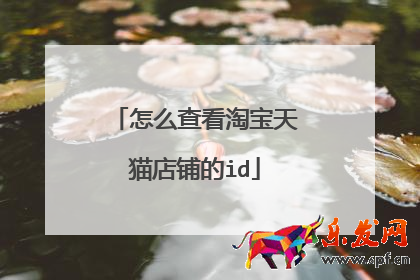 怎么查看淘寶天貓店鋪的id
