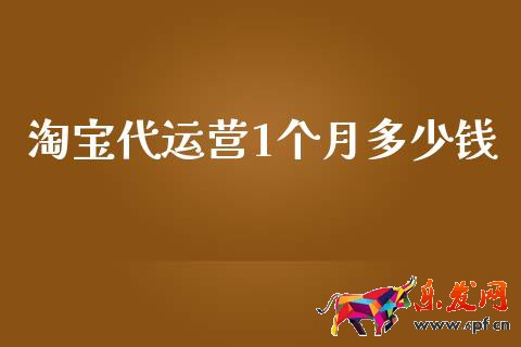 淘寶代運營1個月多少錢