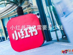 小紅書開店需要多少錢?解析小紅書開店的費(fèi)用支出