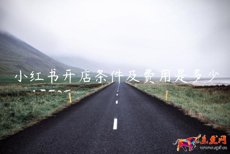 小紅書開店條件及費用是多少