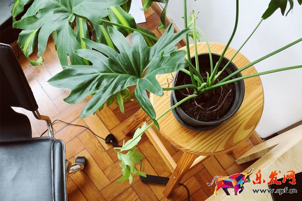 小紅書(shū)帶貨需要什么條件