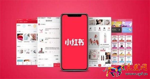 小紅書開店流程及費(fèi)用一覽